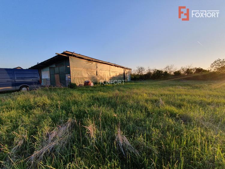 COMISION 0% Casa individuala cu 5 camere si teren de 3489 mp Percosova - Gataia - 23