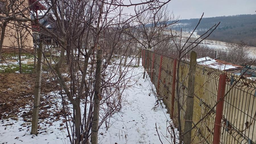 Teren intravilan 704 mp, acces asfaltat, priveliste Padurea Breazu - 10