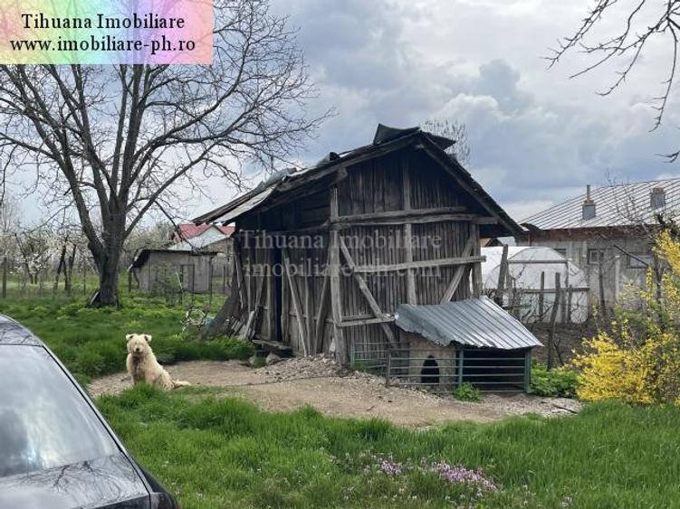 Casa de vanzare - Cocorastii Colt