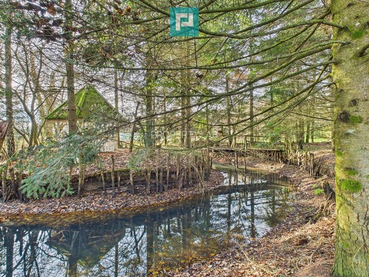 Casă P+E+M cu teren 8163 mp – Roșia Nouă (Petriș) - 10