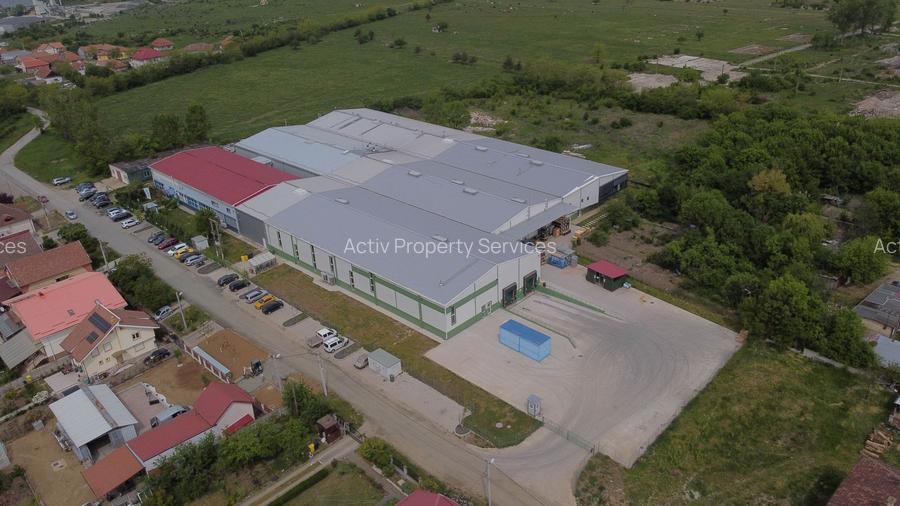 Hală producție/ depozitare de inchiriat Buziaș, Timiș - 3