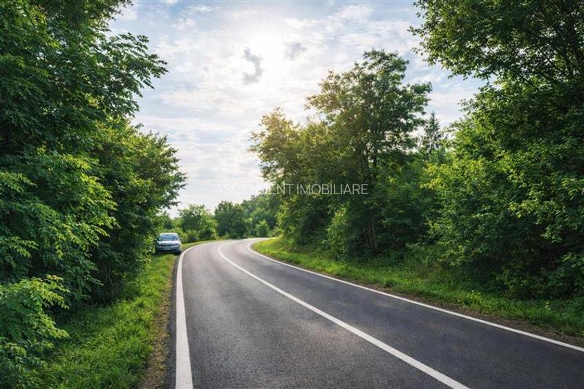 Teren intravilan  pe 1.200 mp, Craiesti, Mures - 4