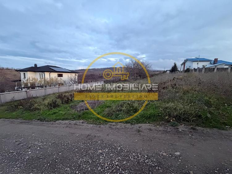 Teren Bucium – Plopii Fără Soț, 469–938 mp - 3