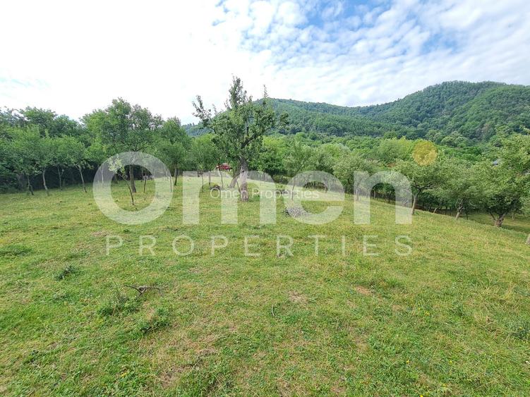 Teren de vânzare | Suprafață 10.040 mp | 2.500 € / ar | Strada Nucului - 7