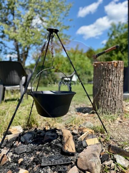 Vanzare Vila la munte - 47