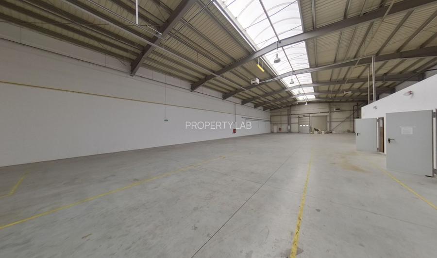 Hală industrială 856 mp la autostrada A1 - 9