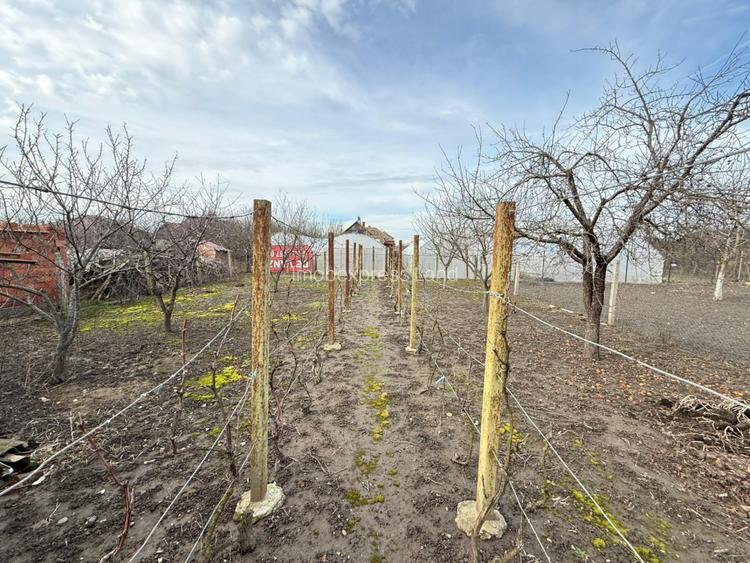 Comision 0% | Casa 155 mp + teren 701 mp | Ciacova | Reprezentare Exclusiva - 10