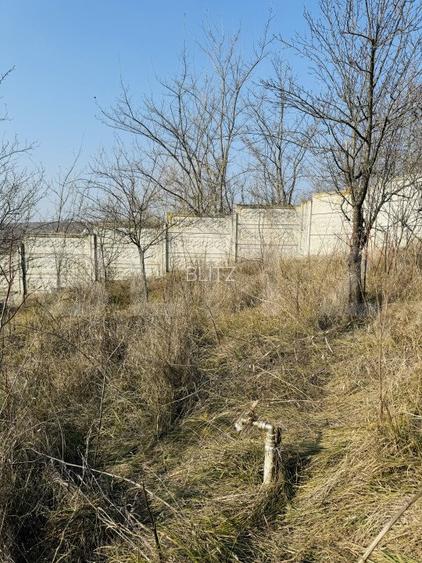 Conac cu teren intravilan 8759 mp, priveliste panoramica, Ciutura - 10