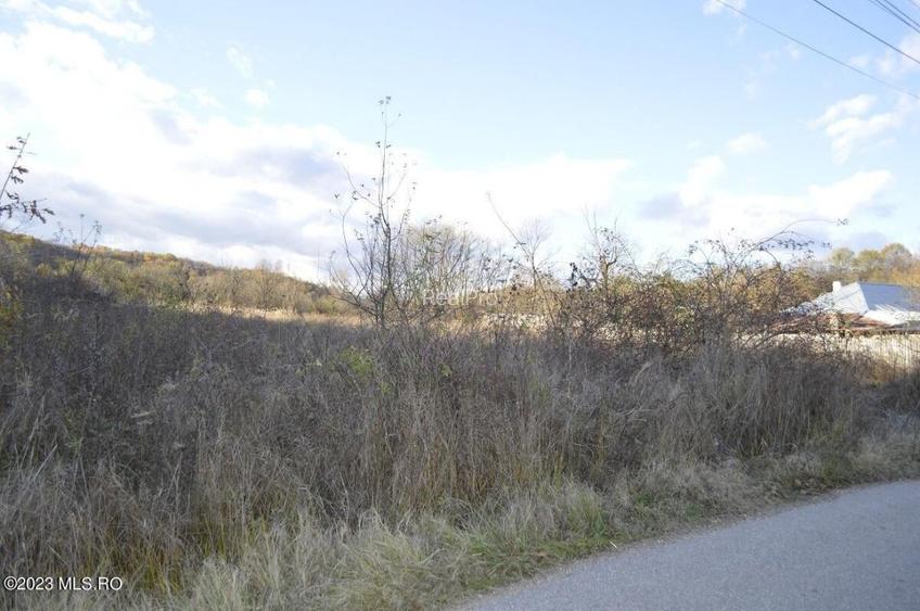 Babana - Centru - Primarie, Teren intravilan 13742 mp! - 17