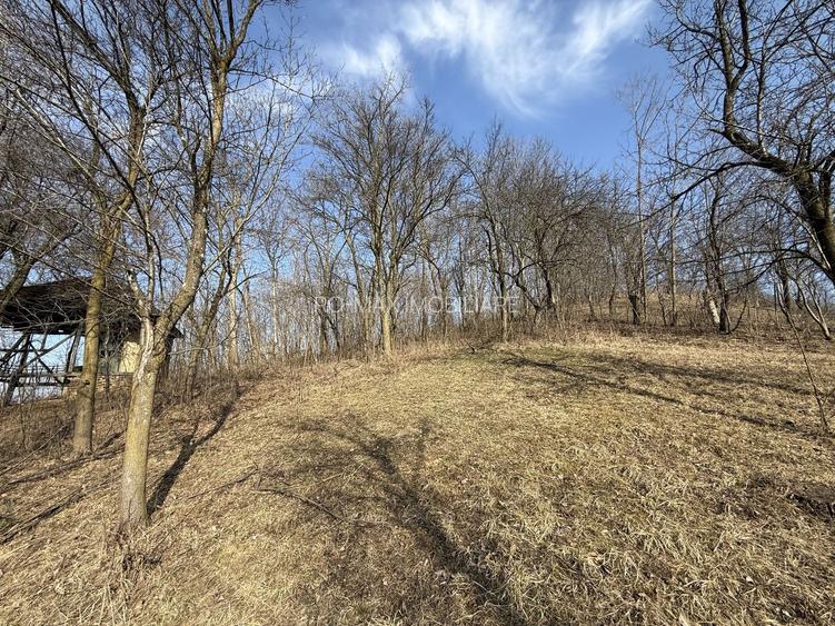 Teren intravilan 2788 mp deschidere 55 ml cu vedere panoramica ! - 15