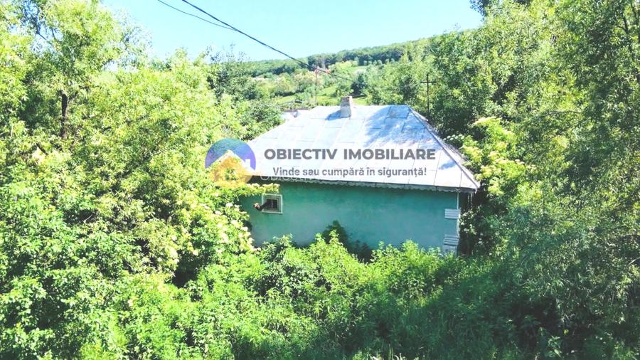 TEREN intravilan + casa  DOBRENI - SARATA - 2