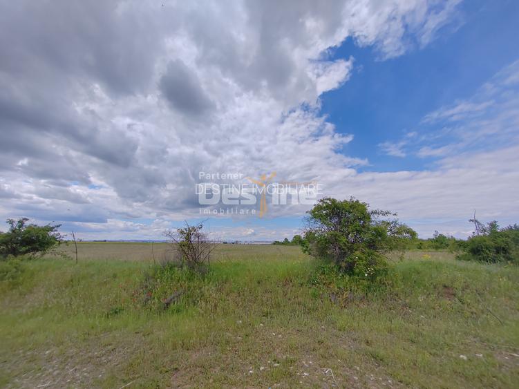 Teren extravilan, 114000 mp, Parc industrial West Park - 4