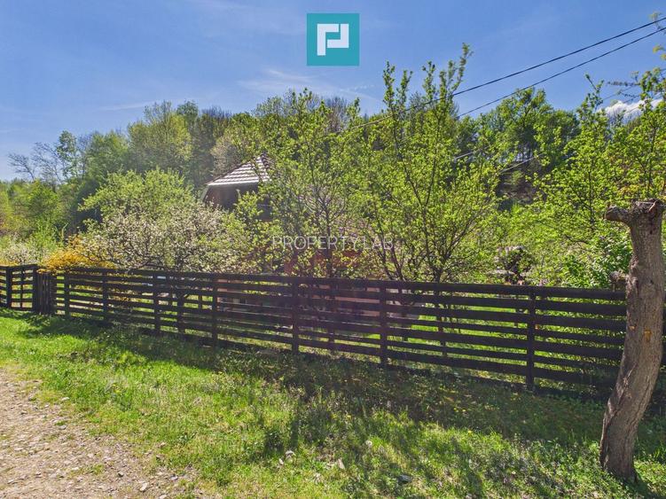 Casă Câmpani, 8000 mp teren, la poalele Apusenilor - 16