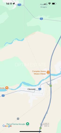 teren intravilan 4950 mp, com Snagov-Caciulati - 3