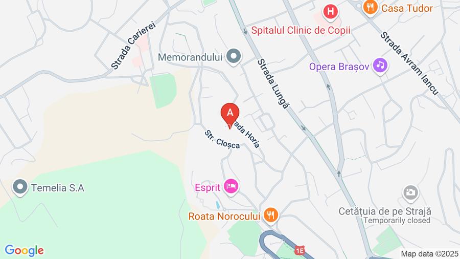 Casă cu panoramă  Str Horia - 13