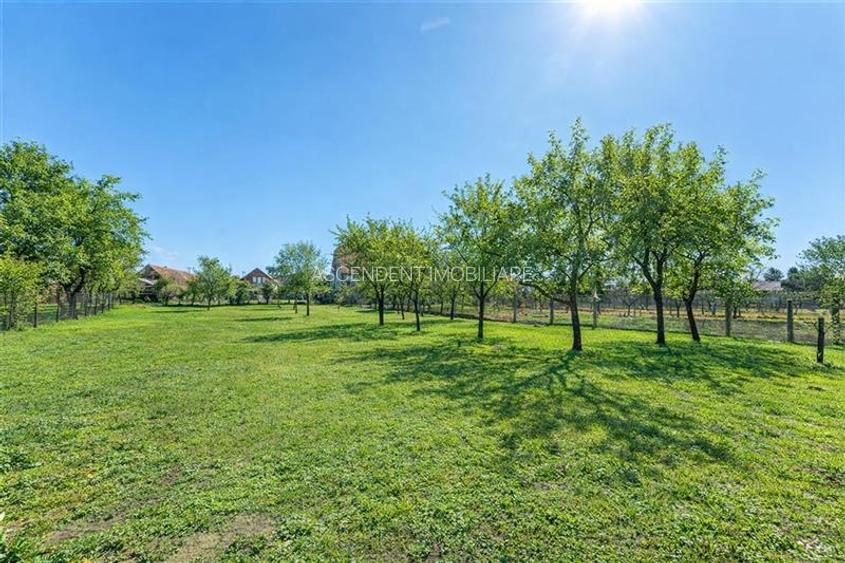 Clasa A, rezidential/ servicii/ investitional, 2.240 mp teren,Central,Halchiu,Br - 9