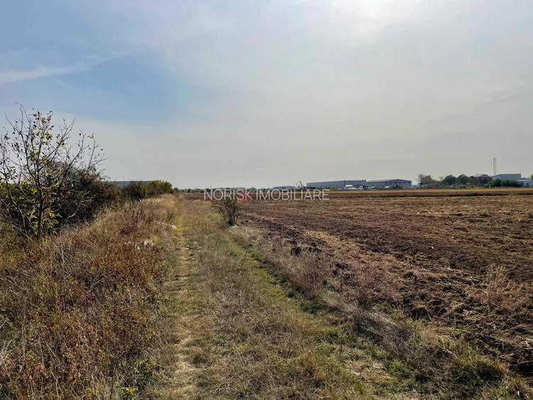 TEREN Dezv Logistica 2500mp posib extindere Centura CHITILA Rudeni - 7