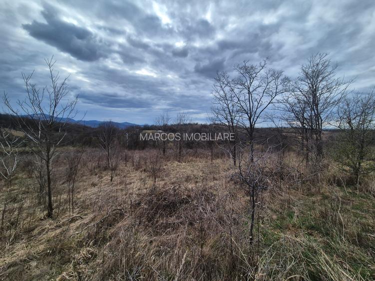 Vand 2 parcele de 5700 mp zona Iabalcea - 3