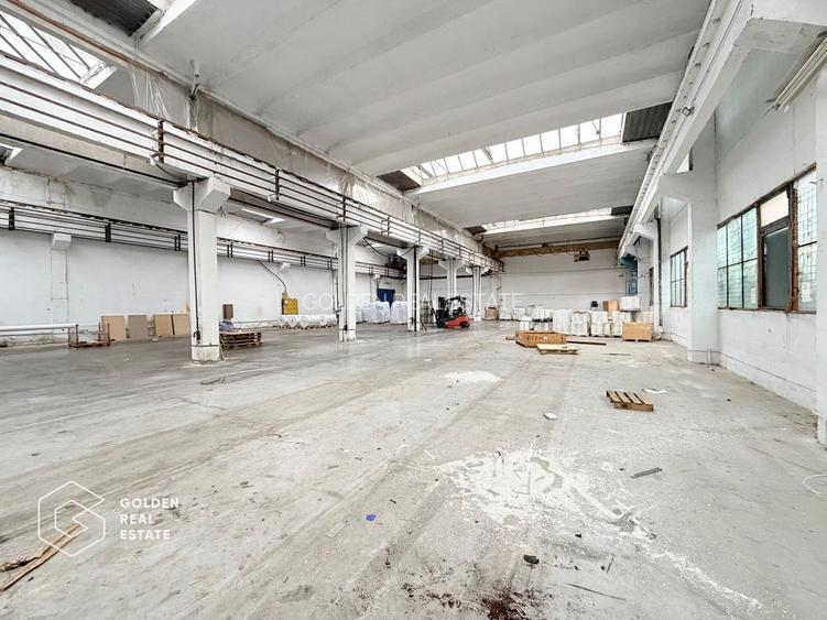 Hala industriala cu pod rulant, Sanicolau Mic, suprafata 1.187 mp - 3