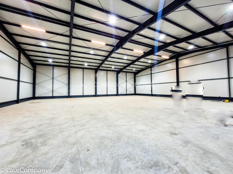 Hale,spatii industriale Albota,Pitesti Arges - 15