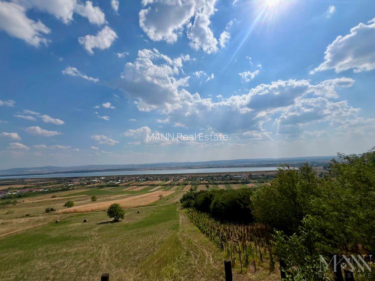 Pivnita + parcela de vie | de vanzare | Uileacu de Cris, Bihor - 6