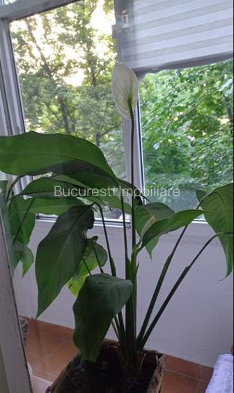 Bd.Cantemir,Metrou Unirii,Loc De Parcare,Balcon,Complet Mobilat si Utilat - 8