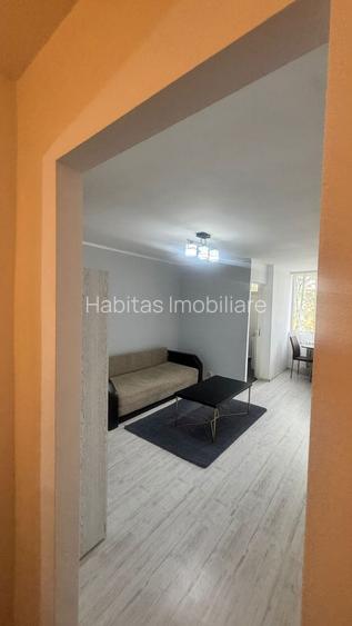 Apartament o camera, de vanzare, renovat, in cartierul Manastur - 4