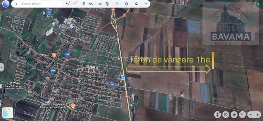 Teren extravilan de vânzare - 10 000 mp -Sud Harman - 3