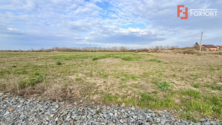 Parcele de teren, intre 502 si 622 mp cu utilitati - Bucovat - 4