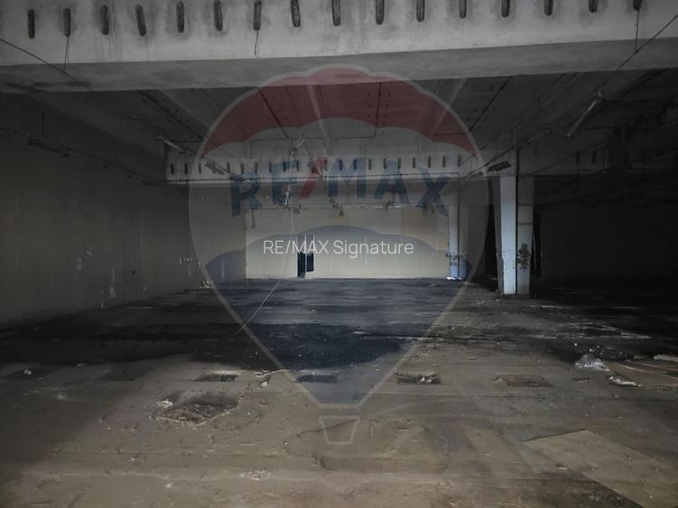 DE INCHIRIAT Spațiu industrial de 10,000mp în zona Gavana - 3