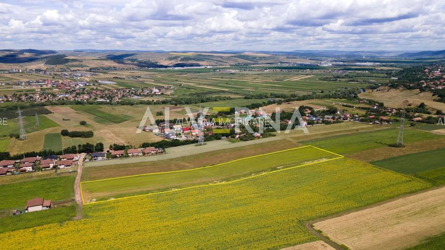 INVESTITIE! Teren constructii 11.600 mp | front 45.7m | Jucu de Sus - 6