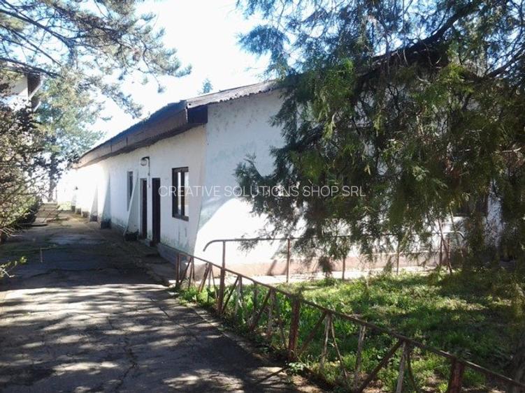 Teren intravilan Mogosesti | Giurgiu | 370.000mp | Adunatii Copaceni - 16