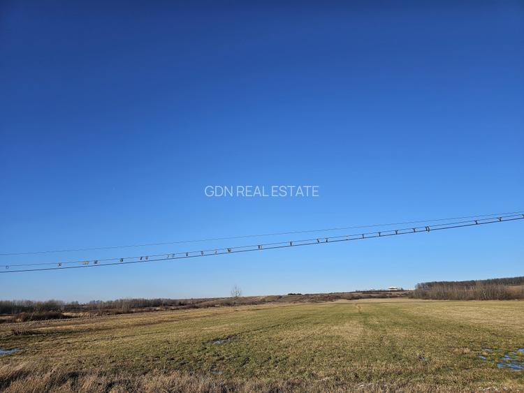 Teren extravilan - constructii, suprafata 49.933 mp, drumul E79, Beius - 8