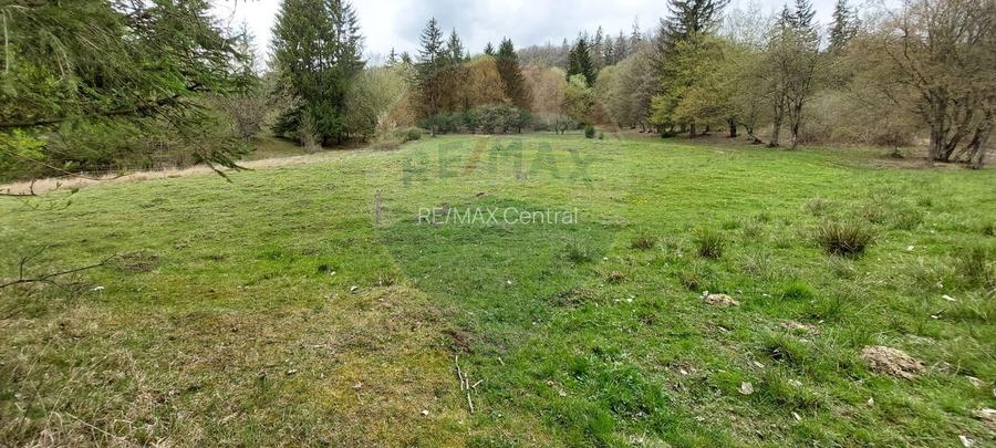 Poienita 2800mp, Covasna, zona hotel Clermont, inconjurat de padure - 18