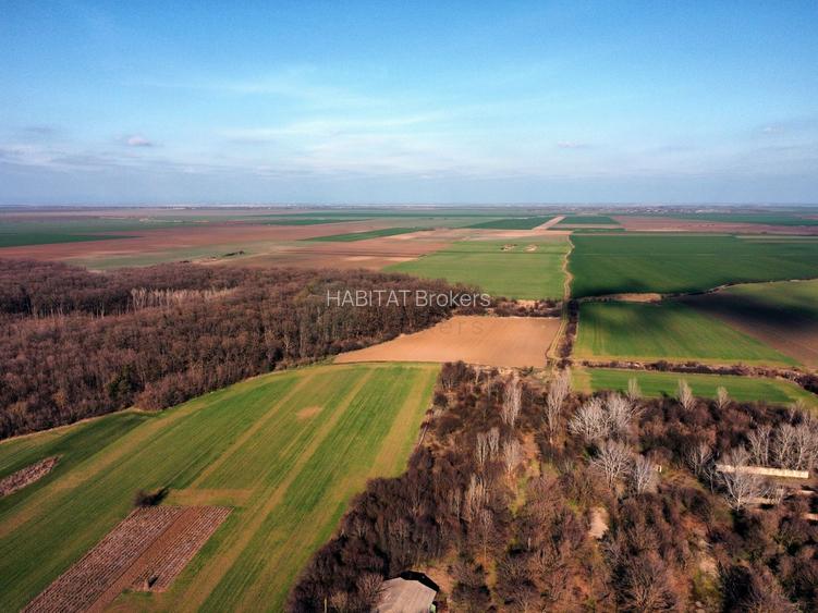 Ferma si livada de meri in judetul Ilfov - 26