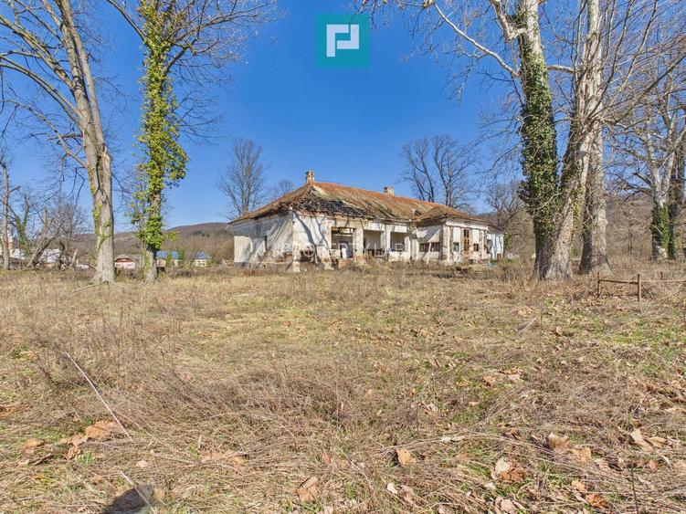 Conac nobiliar de secol XIX cu 8 camere în Maciova - 32