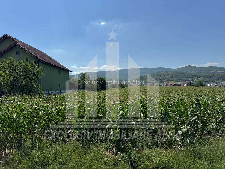 Teren intravilan | Pentru constructie bloc P+3 | 4088 m | Alba-Micesti - 2