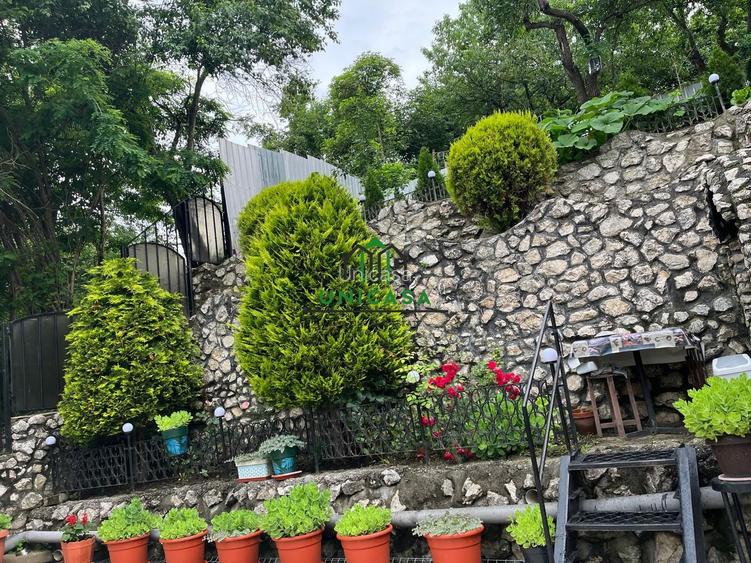 Casa P+1 / Stirbei Voda - 21