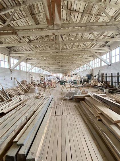 HALE-DEPOZIT DE VANZRE SI TEREN 10000 mp  AGAS jud.Bacau - 4