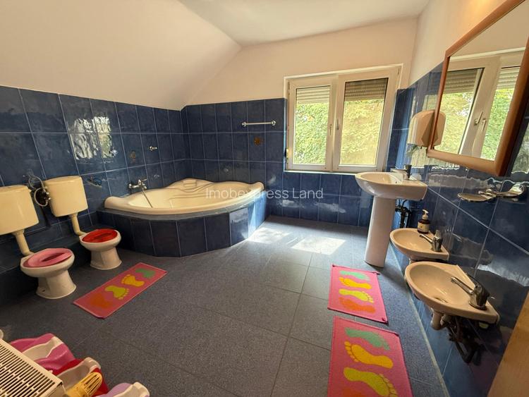 Casa de inchiriat Lipovei, ideala pentru activitati educationale  - 11