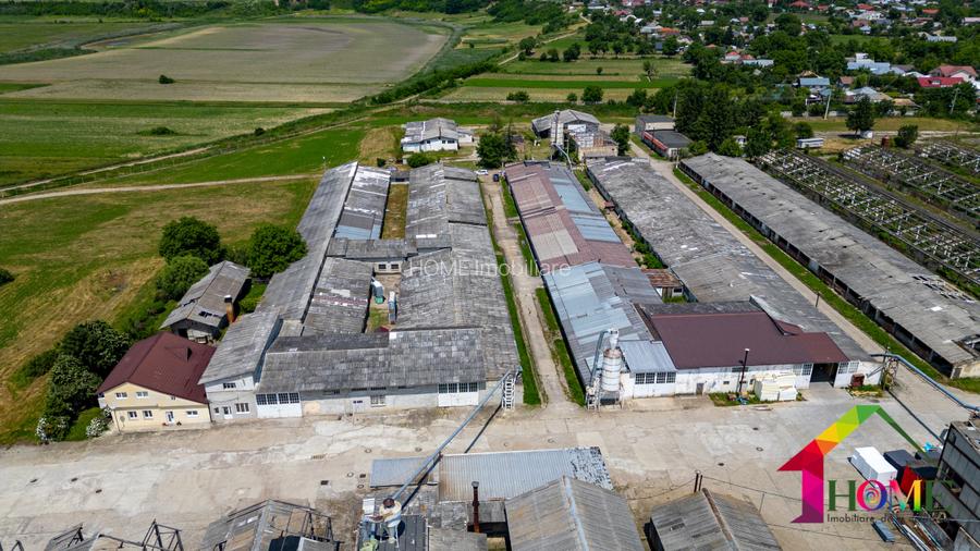 Teren 100.000 mp + Spatii Industriale Bacau - 19