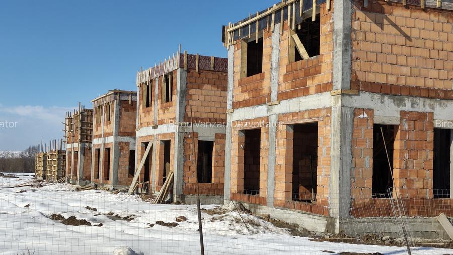 Vile individuale padurea Rosu - 11