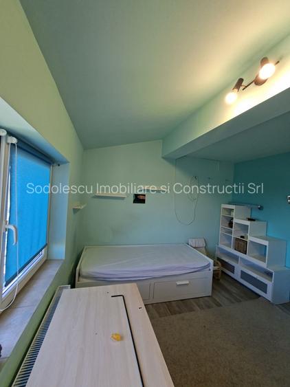 Apartament 3 camere la 10 minute de Timișoara - 13