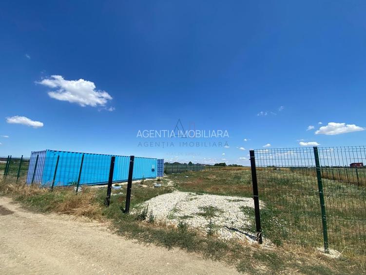 Teren intravilan 2.500 mp – Adunații Copăceni | Container inclus + puț - 3