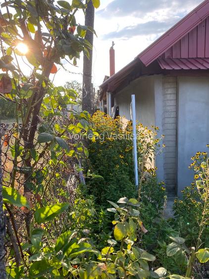 Teren+casa. Vând teren(aprox 2400mp, într-o singură parcela) și casa (49mp), cu. - 5