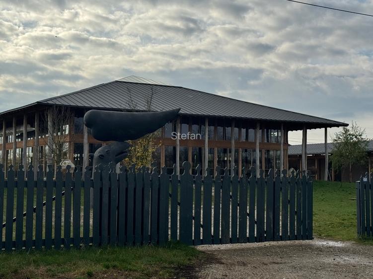 Piscu, Ciolpani, teren intravilan 1000 mp, str. Campului,aproape Muzeu, 29 eur - 3