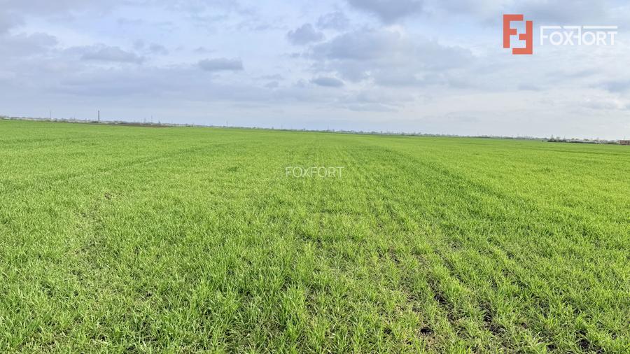 Parcela de teren intravilan de vanzare, 502 mp - Sacalaz - 5