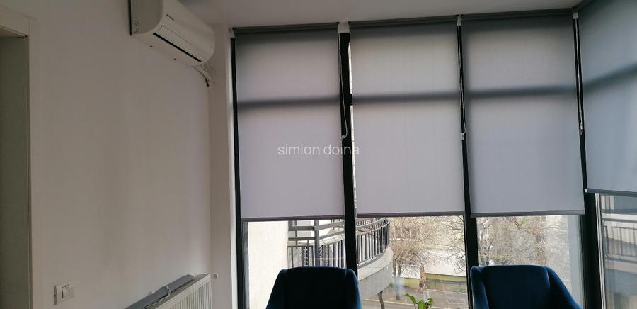 Birouri Titulescu 48- Piata Victoriei - 11