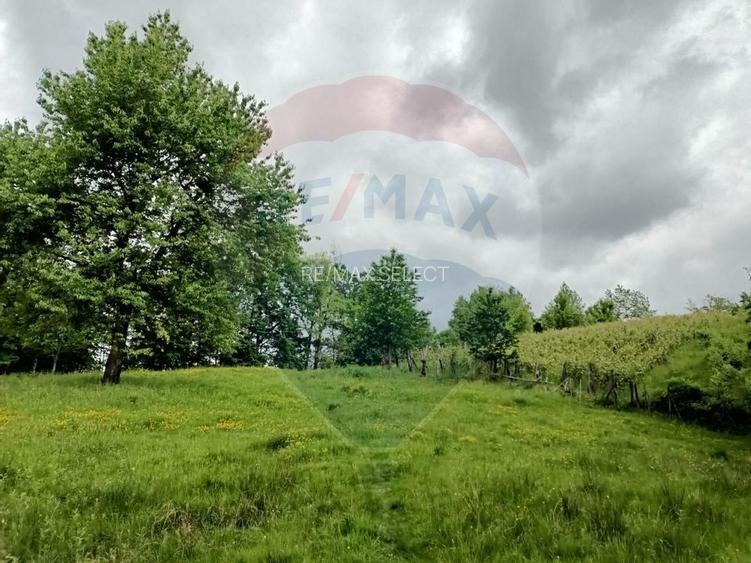 Vânzare casa la munte - zona turistica - Baia de Fier - 25