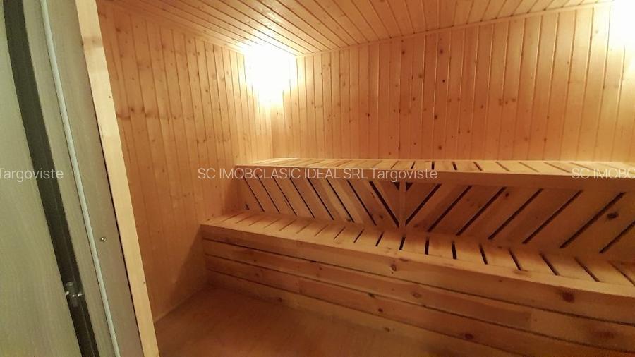 Vanzare proprietate - casa si teren  Voinesti Dambovita - 19